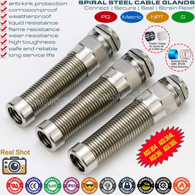AISI 316L, AISI 316, AISI 304 roestvaststalen PG spiraal kabelwartel (IP68) met trekontlasting