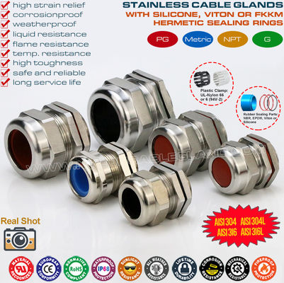SS304 / SS316 / SS316L roestvrijstalen PG waterdichte kabelwartels fittingen (IP68) met fluorrubber afdichtingen